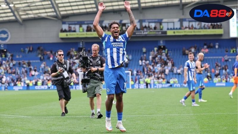 Thông tin lực Barnsley vs Brighton mới nhất