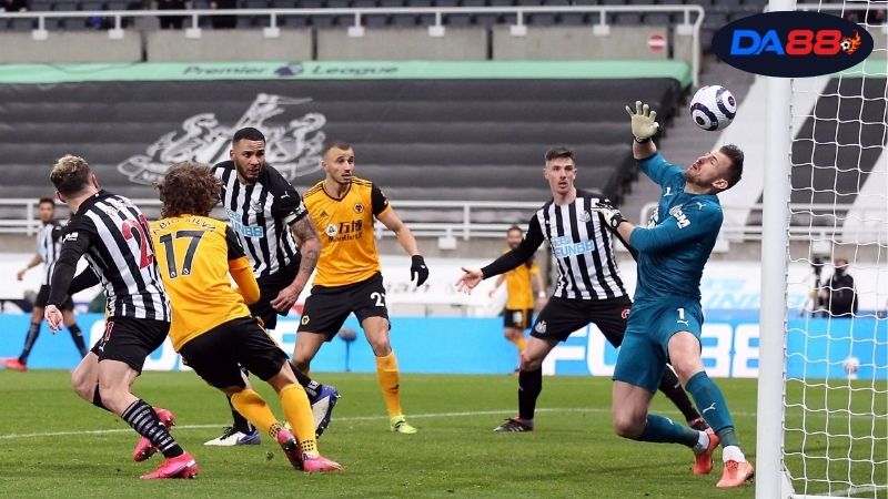 Thông tin lực lượng Newcastle vs Wolves mới nhất